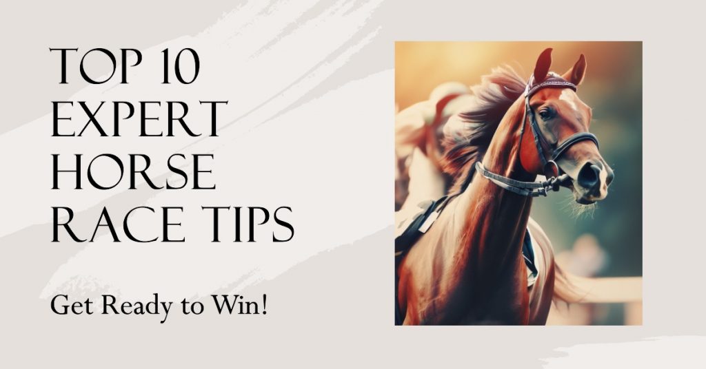 Top 10 Expert Horse Race Tips
